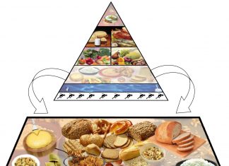 Reguli de nutritie: echilibru, varietate si moderatie