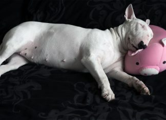 147 Citate Amuzante Citate impresionante