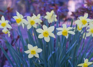 140 Mesaje De Multumire