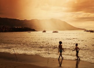 174 Mesaje Despre Succes