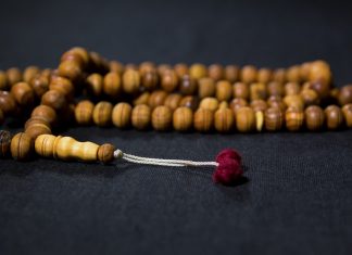 241 Citate Intelepte