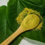 Matcha vs. ceai verde – diferențe și asemănări